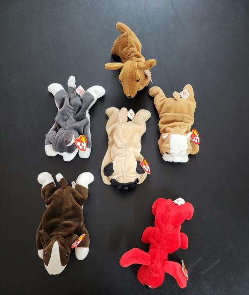 TY beanie baby dog lot of 6 for sale in Kerrville TX