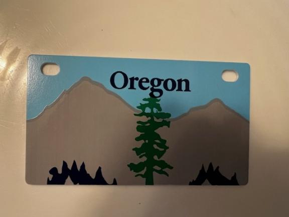 Vintage Mini Personalized (3) aluminum license plates & 1 Brand new plastic plate still customizable