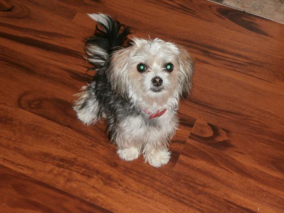 Garage sale in Oregon, Illinois of Garage Sale Showcase Member Soffelea. 3 items currently listed for sale.