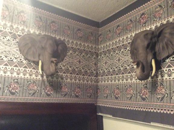 Safari Elephant sconce