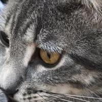 Online Garage Sale of Garage Sale Showcase Member Lwinters in Dickey County, North Dakota