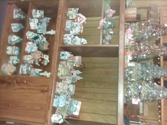 Village houses for sale in Bluffton IN