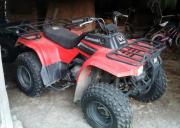 TWIN 2009 KAWASAKI 250 BAYOU'S for sale in Cohocton NY
