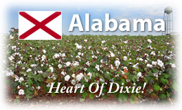 Alabama, Heart of Dixie!
